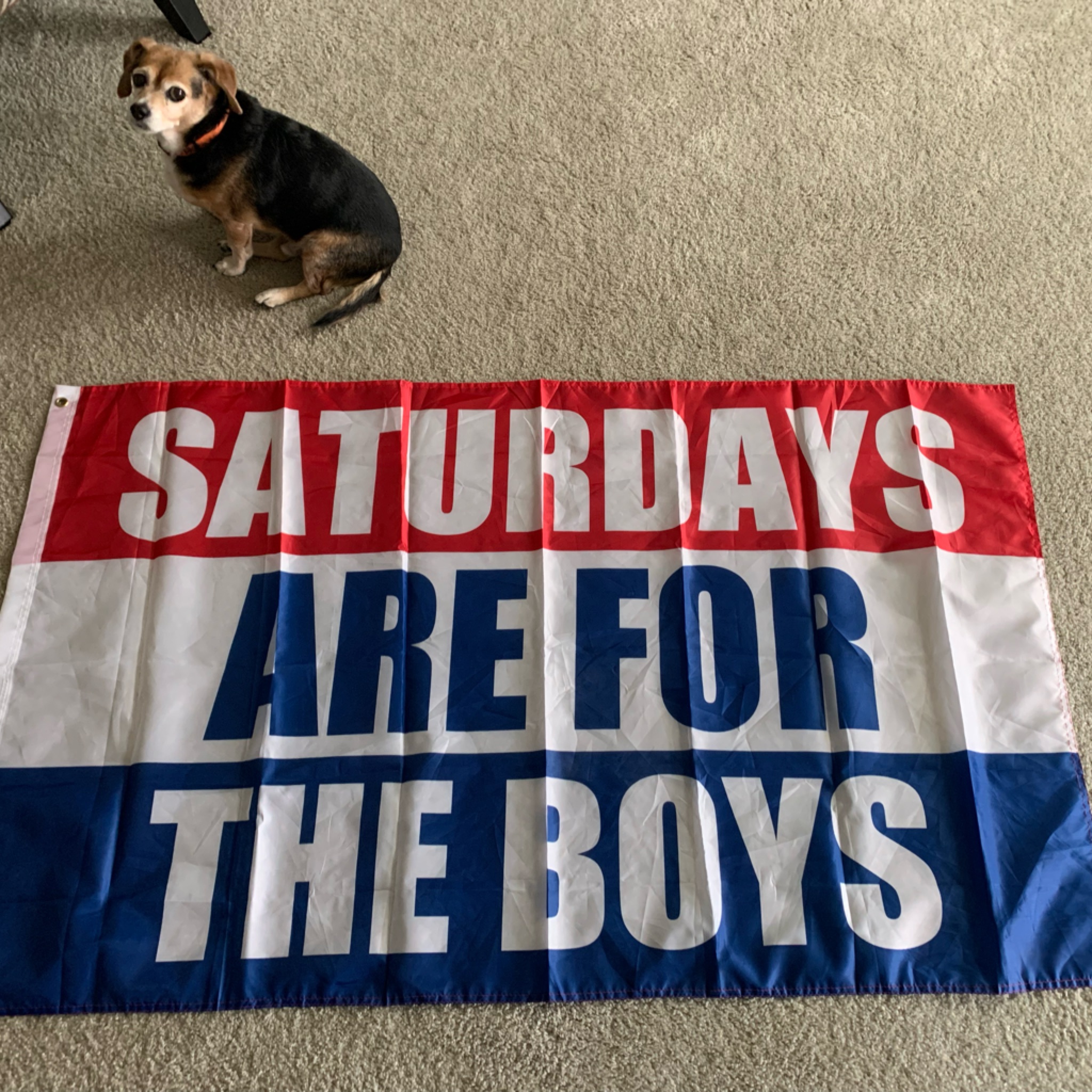 Saftb Flag